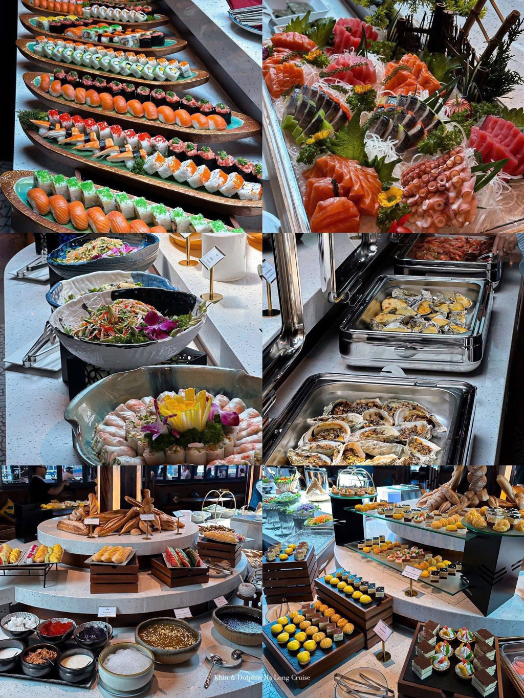 tàu dolphin hạ long 1 ngày tàu dolphin hạ long 1 ngày