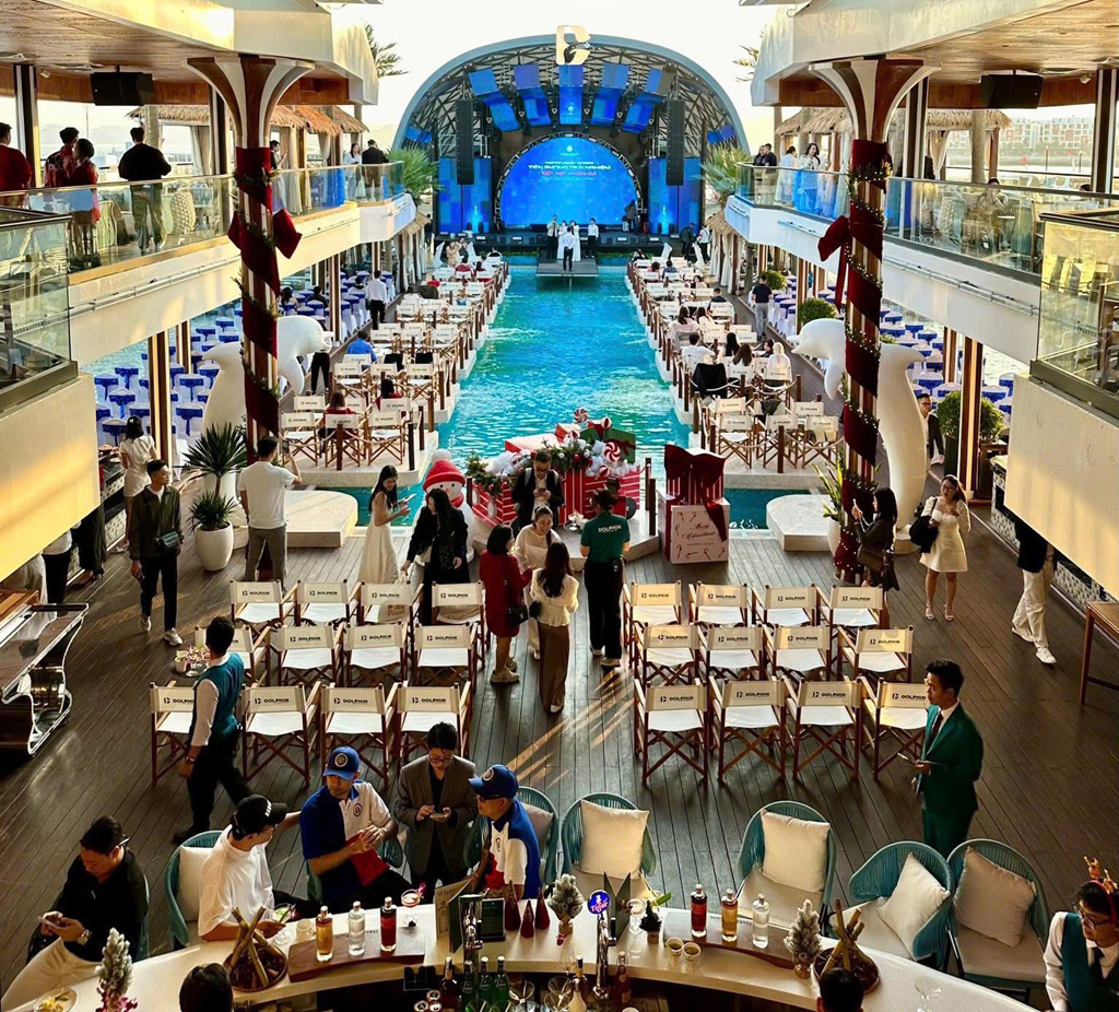 tàu dolphin thăm vịnh hạ long 1 ngày tàu dolphin thăm vịnh hạ long 1 ngày