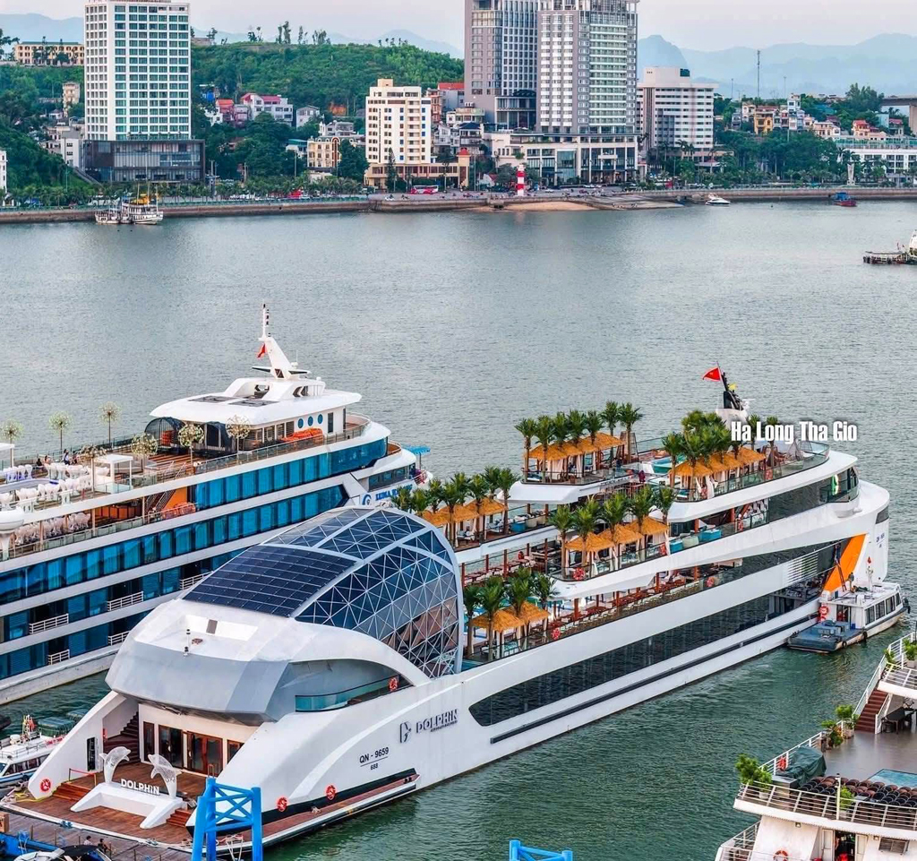 tàu dolphin hạ long 1 ngày tàu dolphin hạ long 1 ngày