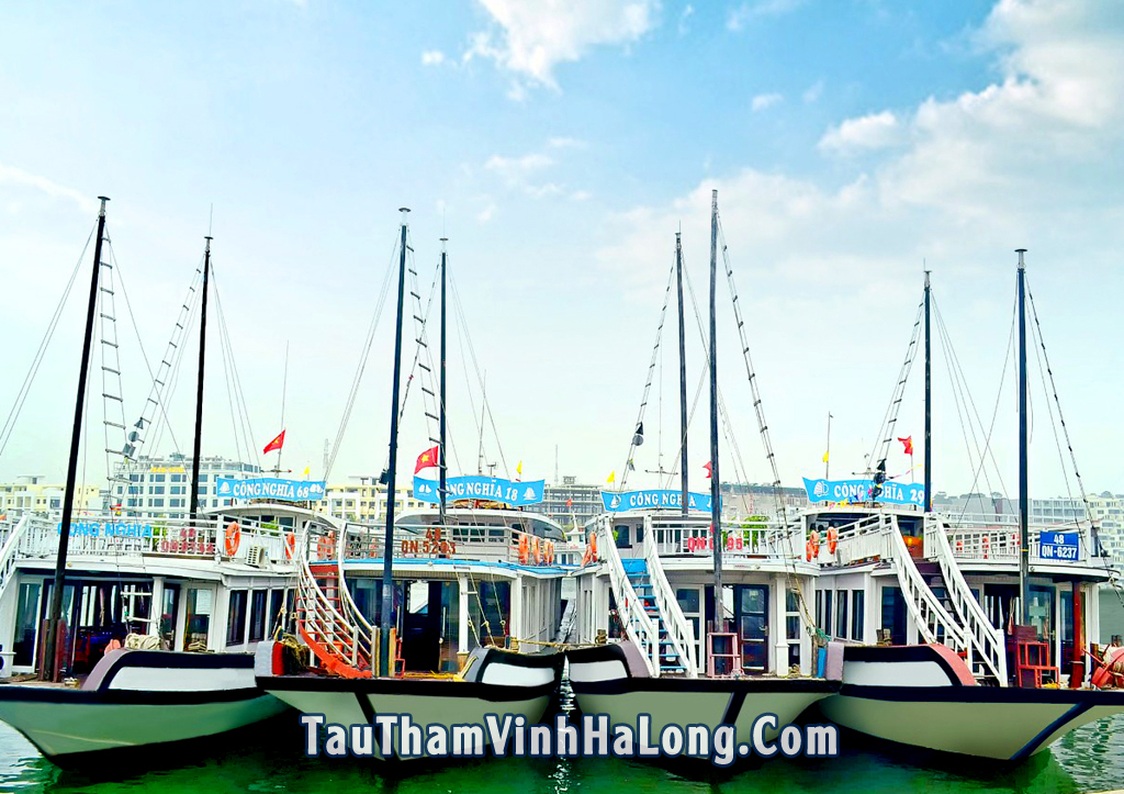 tàu công nghĩa hạ long