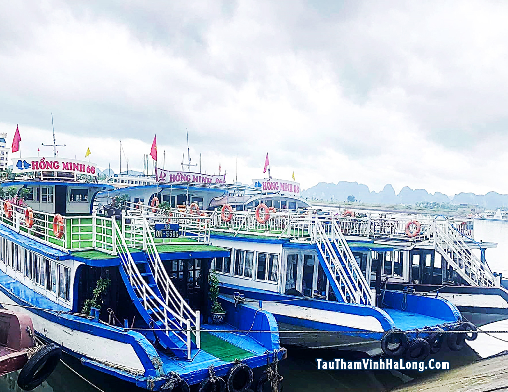 Tàu Hồng Minh Hạ Long