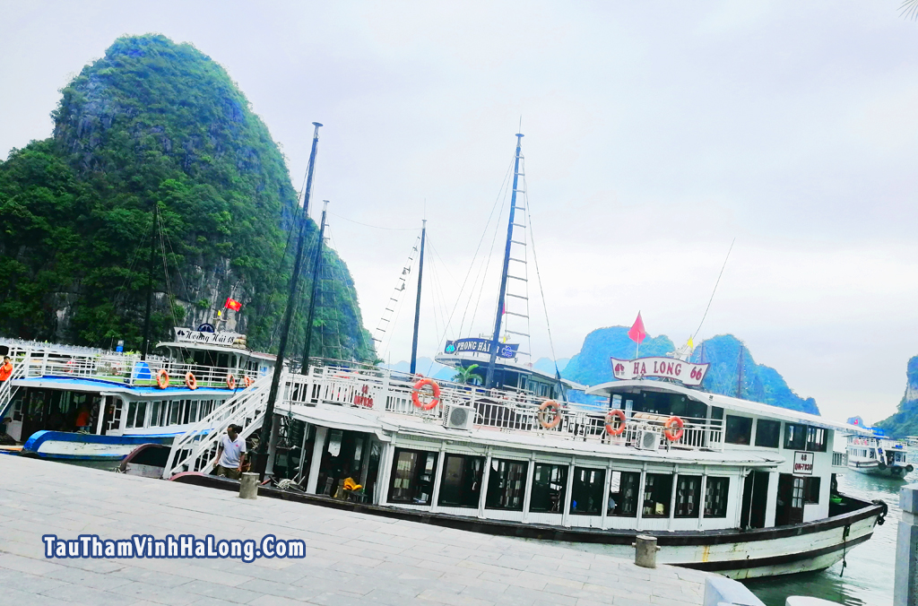 Tàu Hưng Long 89 Hạ Long