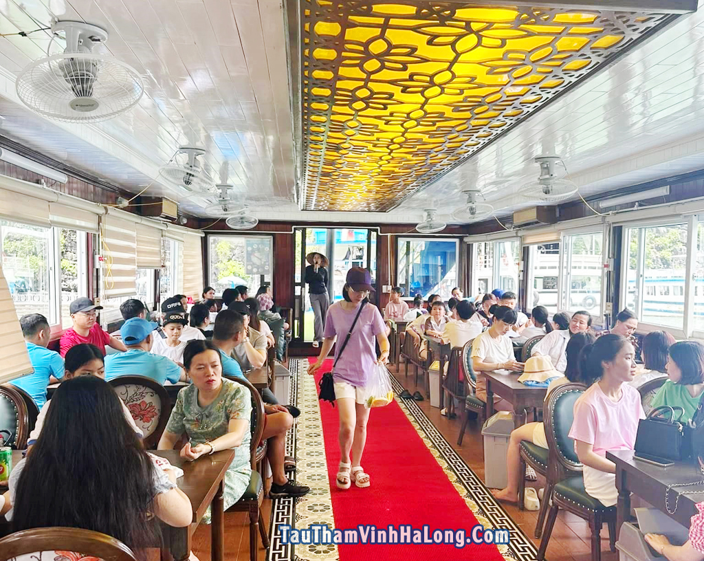 tàu du lịch nam cường hạ long