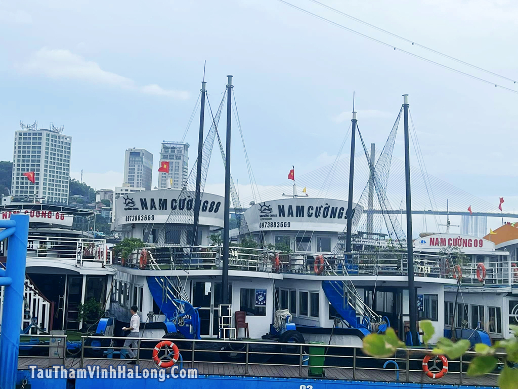 tàu nam cường hạ long