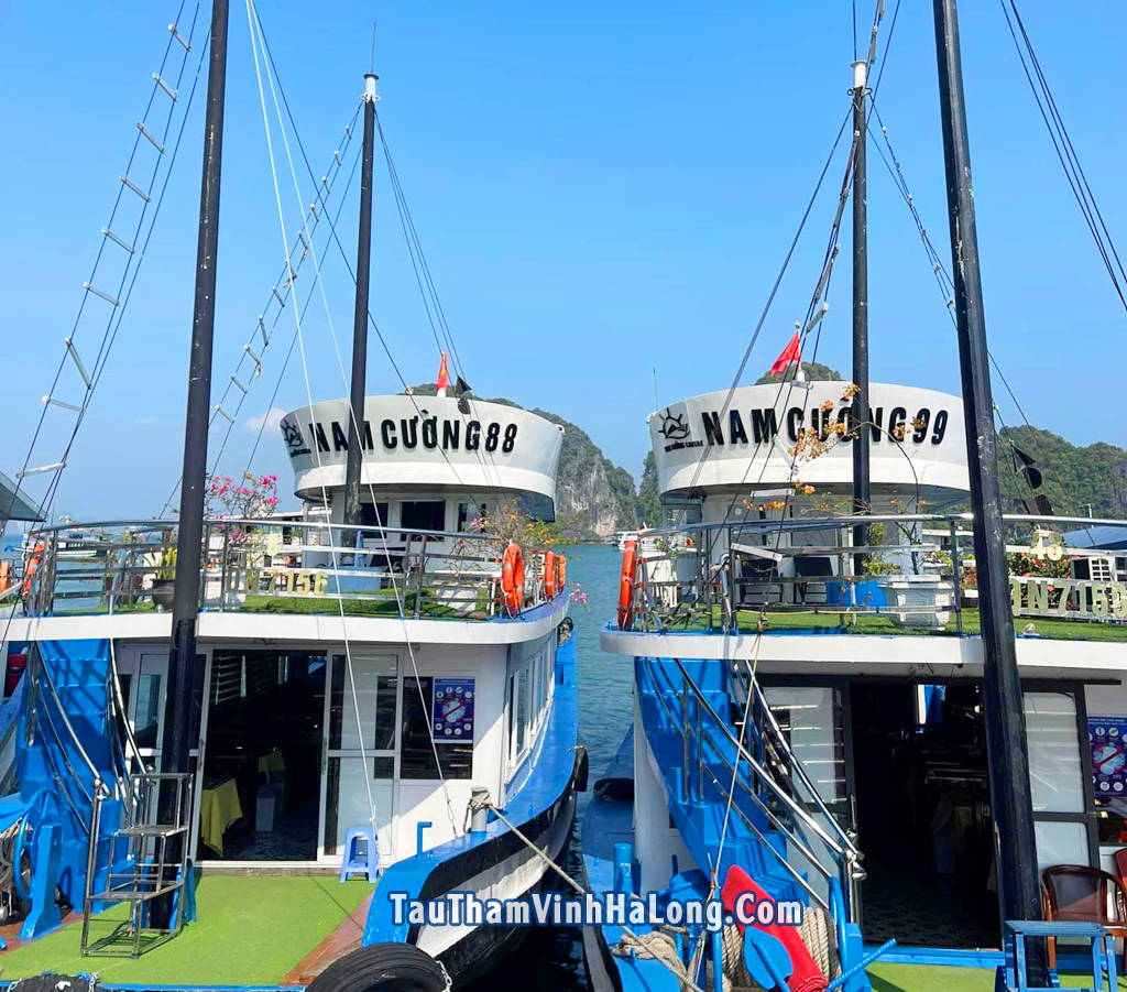 tàu nam cường hạ long