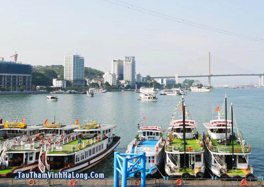 tàu phương đông hạ long
