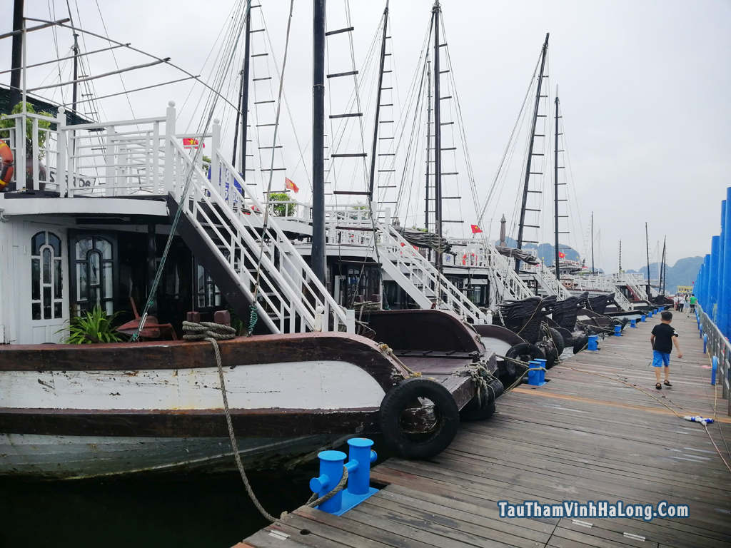 tàu sun cruise 19 hạ long