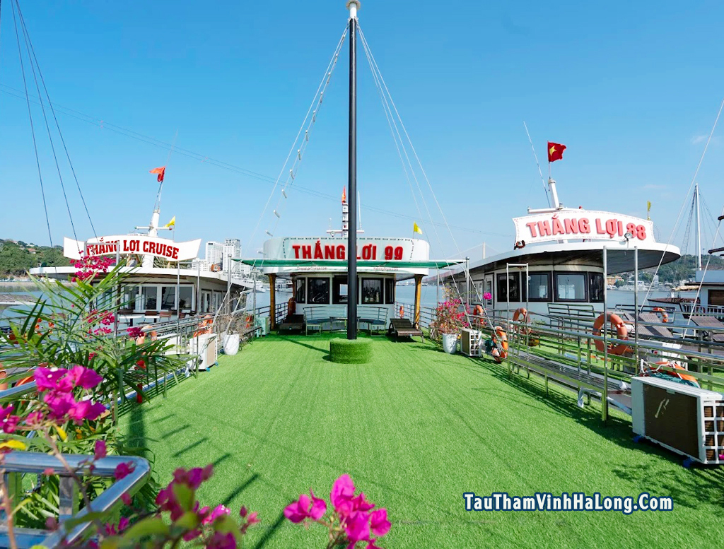tàu thắng lợi hạ long
