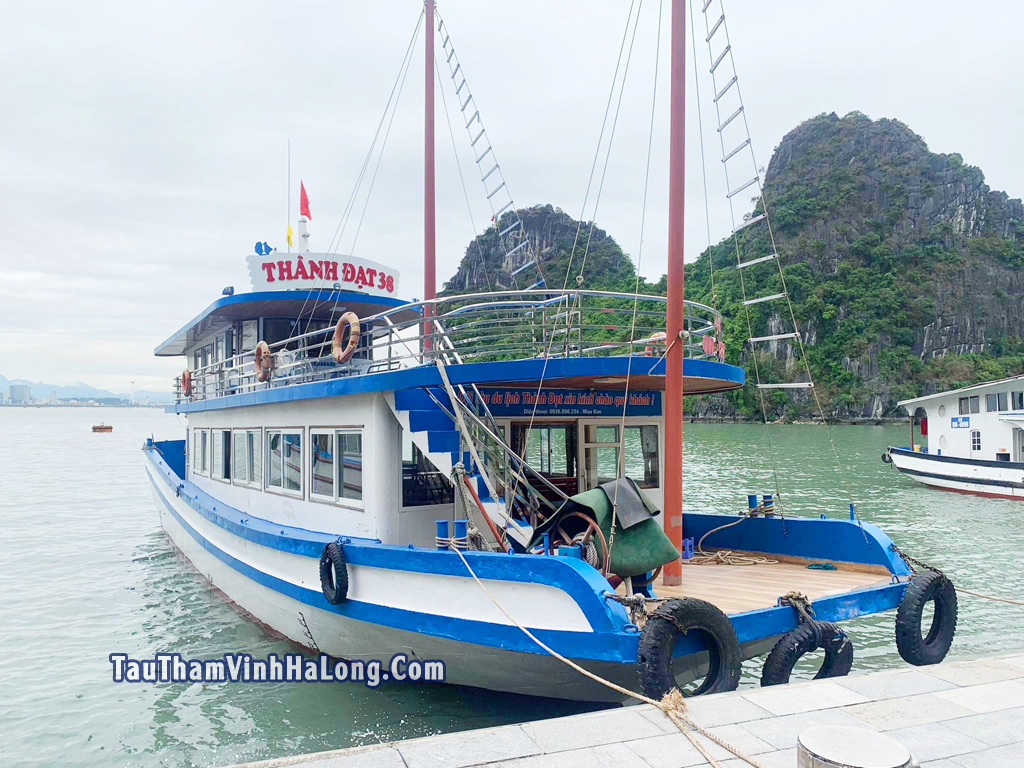 Tàu Thành Đạt Hạ Long