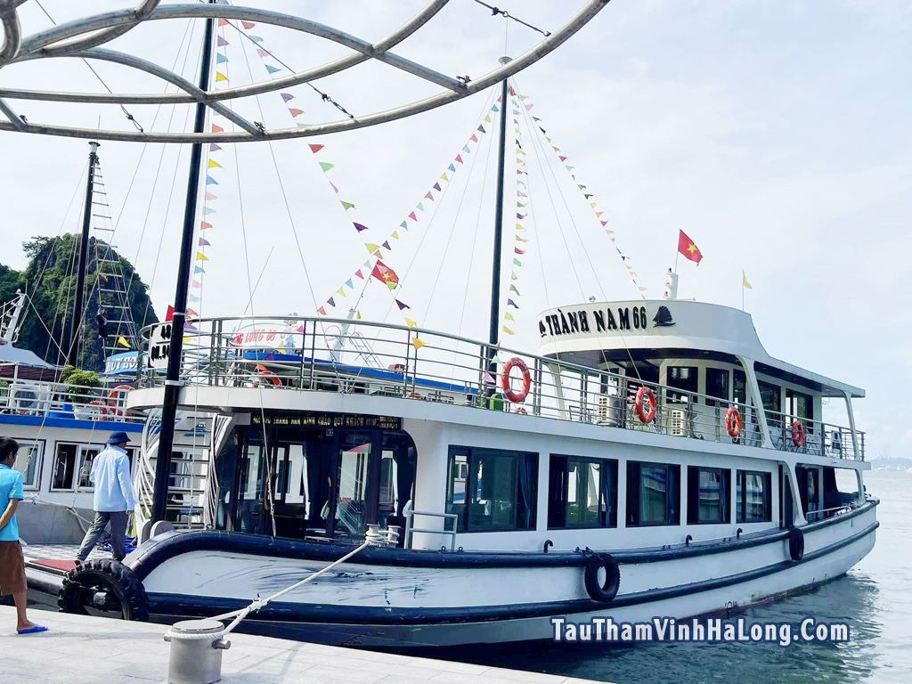 Tàu thành nam 66 hạ long