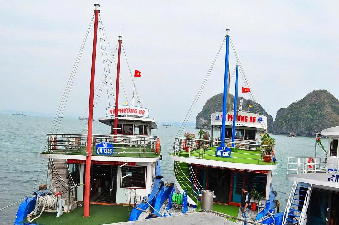 tàu tú phương hạ long