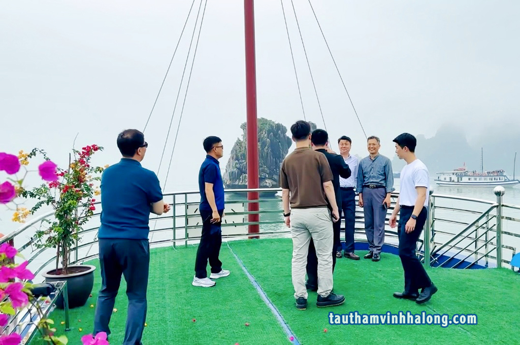 du khách với tàu tùng dương hạ long