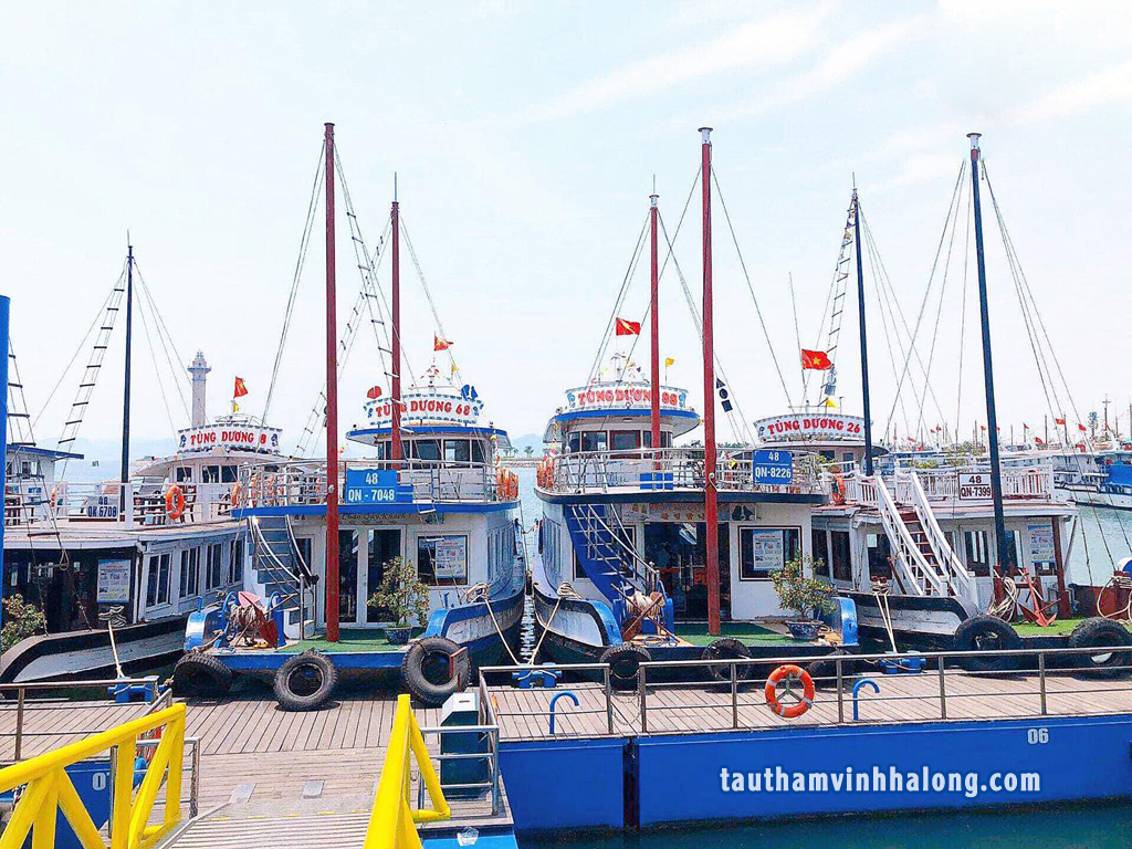 tàu tùng dương hạ long